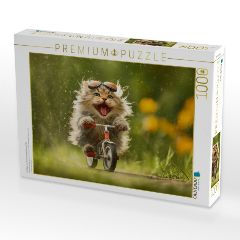 Ein Motiv aus dem Kalender Miau mit Stil