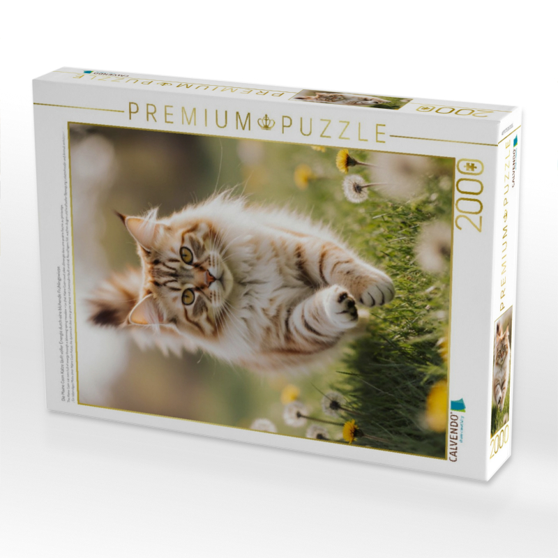 Die Maine Coon Katze läuft voller Energie durch eine blühende Frühlingswiese.