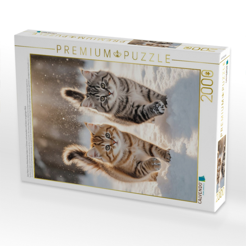 Zwei Maine Coon Katzenbabys toben im Schnee und verzaubern mit ihrem neugierigen Blick.