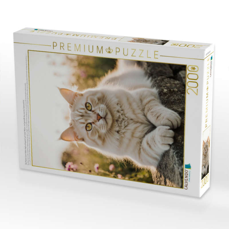 Die Maine Coon Katze liegt entspannt auf einer Mauer und genießt das warme Sonnenlicht.