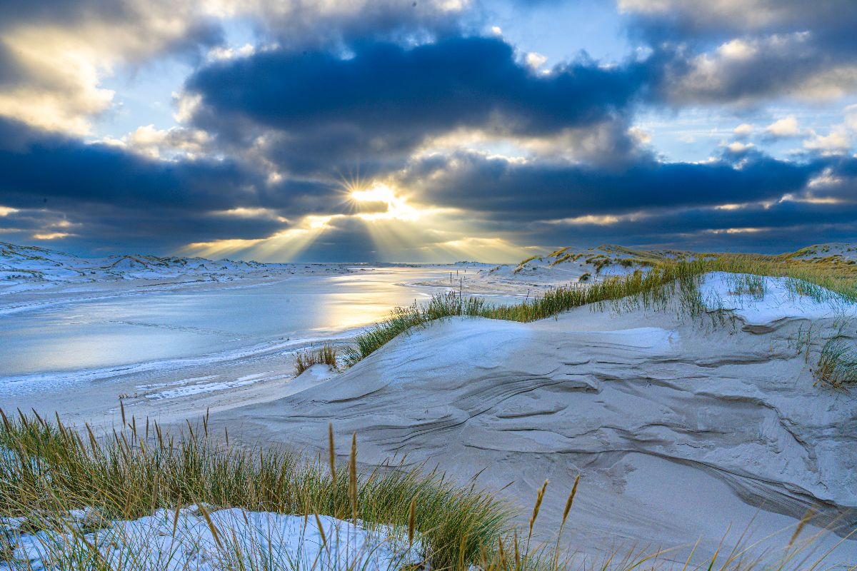 Dünenlandschaft in der winterlichen Nachmittagsonne