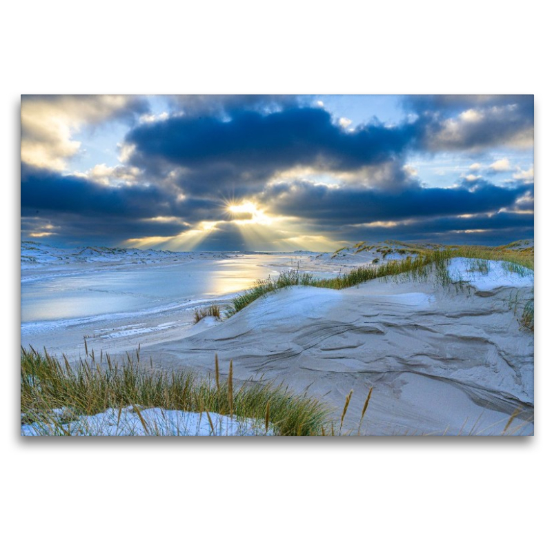 Dünenlandschaft in der winterlichen Nachmittagsonne