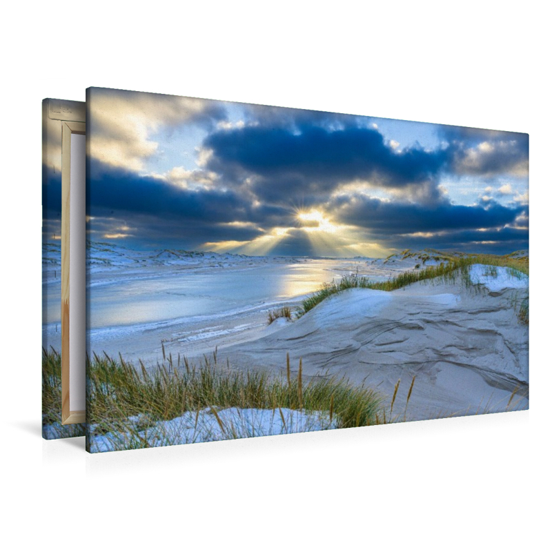 Dünenlandschaft in der winterlichen Nachmittagsonne