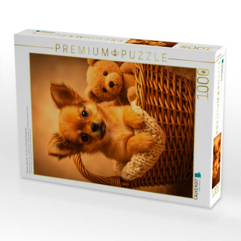 Chihuahua Diamonds – Frau Fuchs im Korb der Geborgenheit