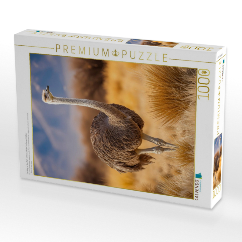 Der Weg ist das Ziel - immer auf der Suche nach Futter