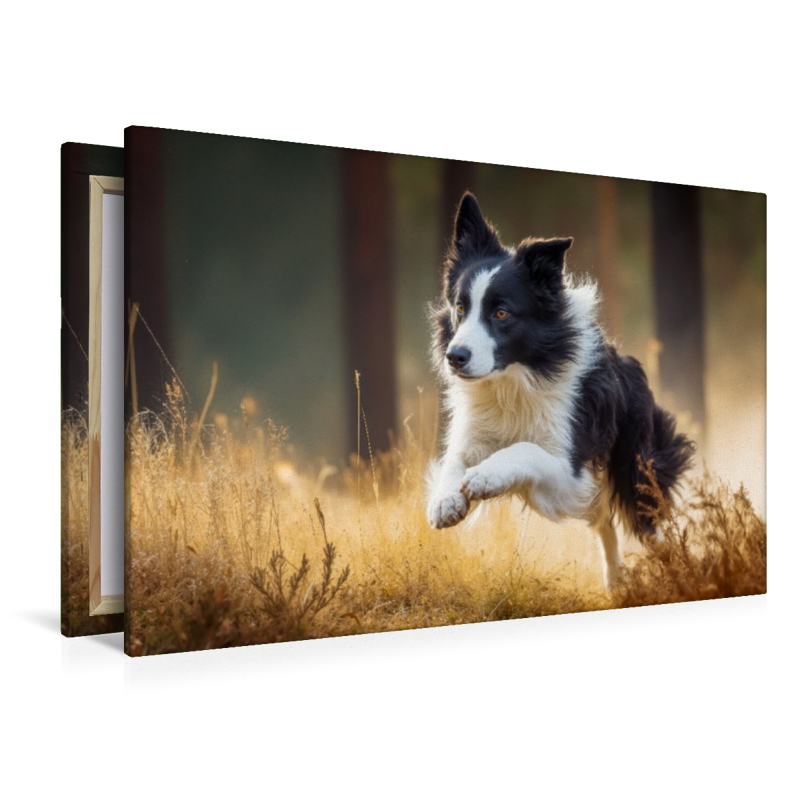 Ein schneller Sprint