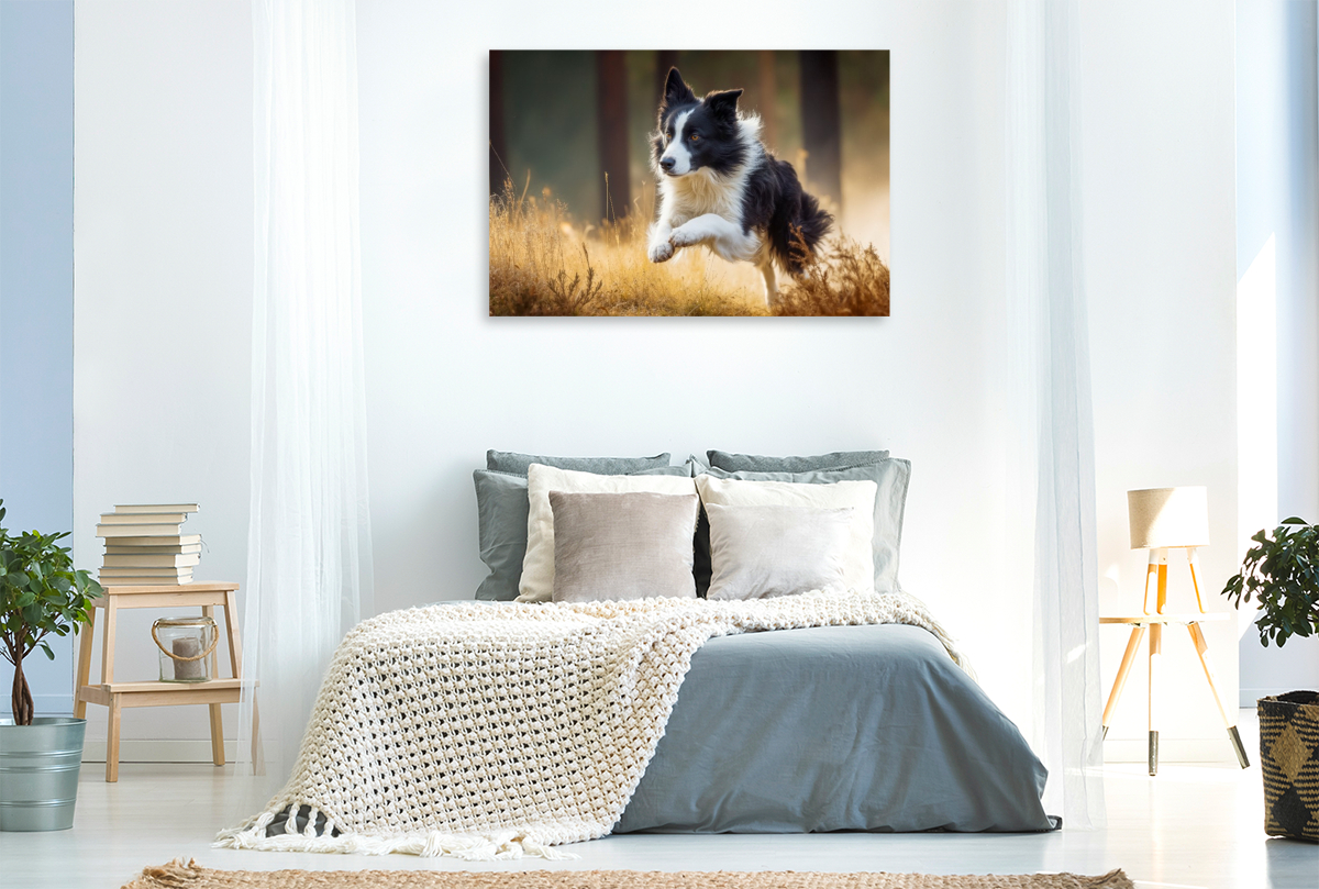 Ein schneller Sprint