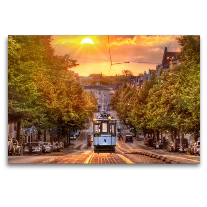 Ein Sommerabend in der LuWu.