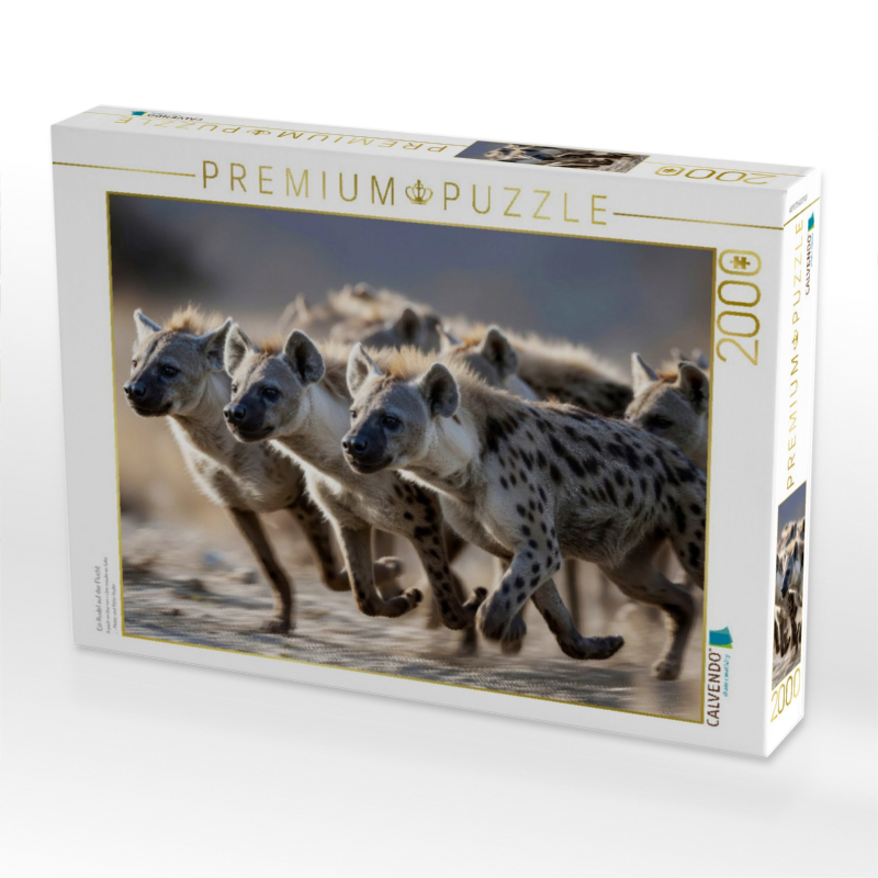 Ein Rudel auf der Flucht