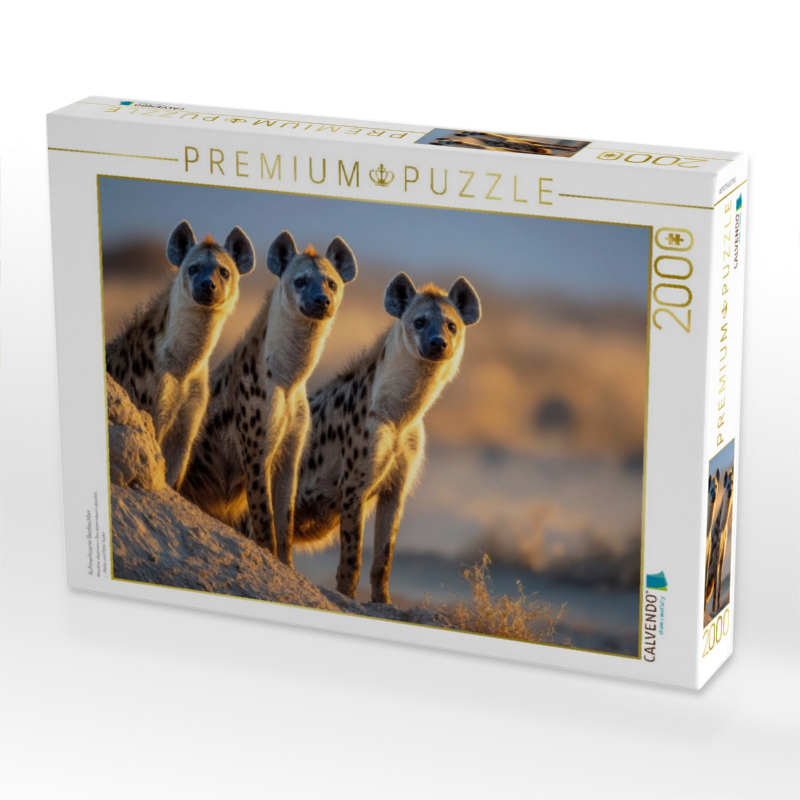 Aufmerksame Beobachter