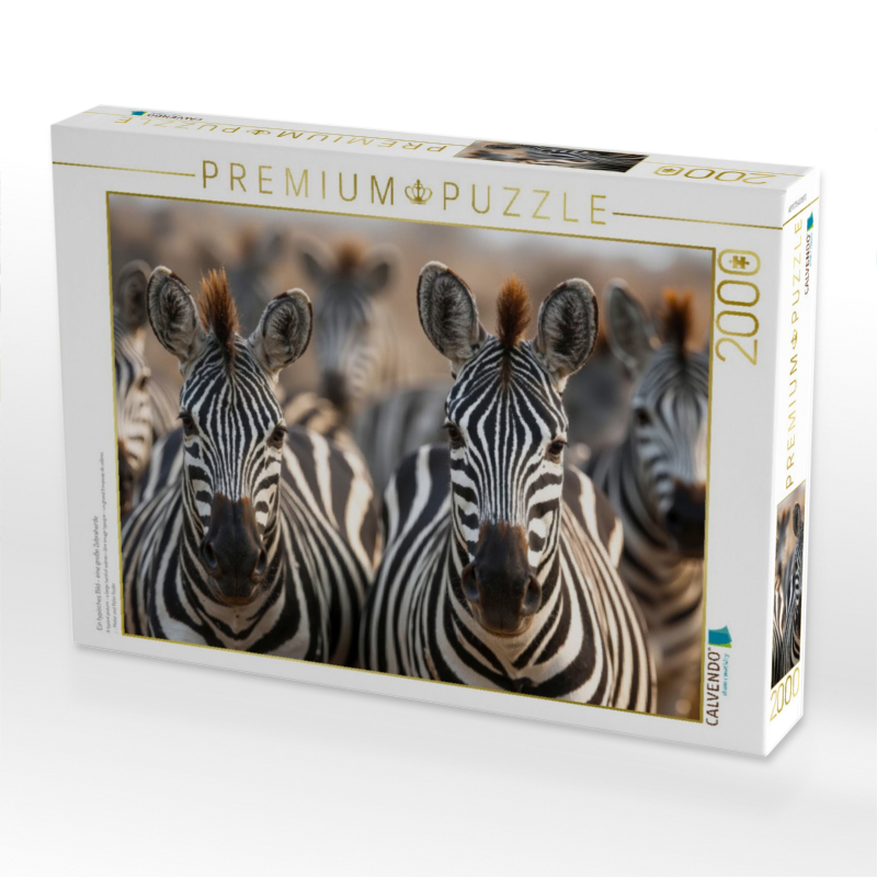 Ein typisches Bild - eine große Zebraherde