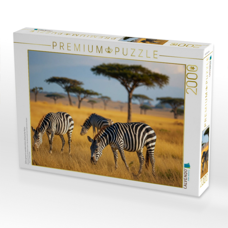 Zebras grasen in wunderschöner afrikanischer Natur