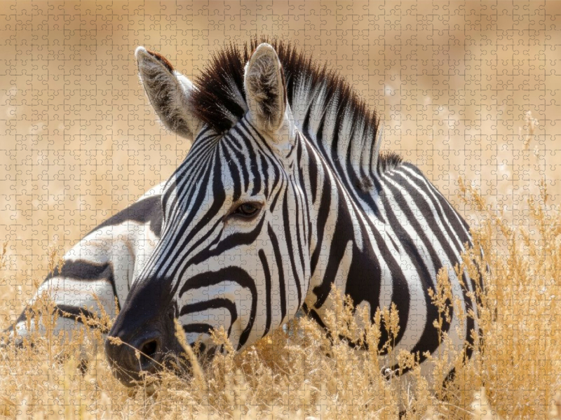 Schönheit und Natur