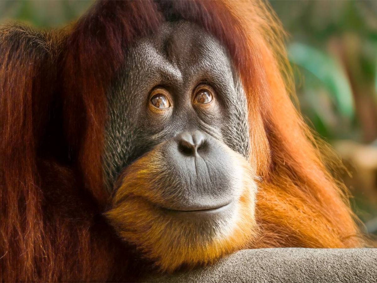 Ein schöner Moment - Ruhe und Zufriedenheit