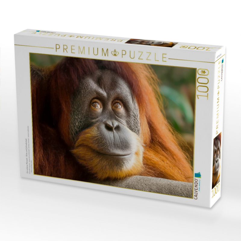 Ein schöner Moment - Ruhe und Zufriedenheit