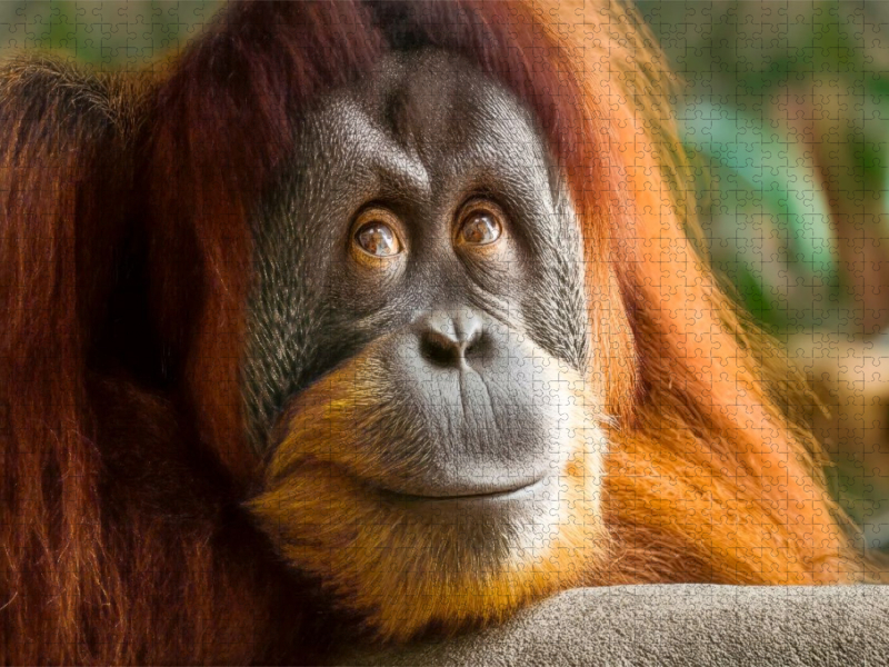 Ein schöner Moment - Ruhe und Zufriedenheit