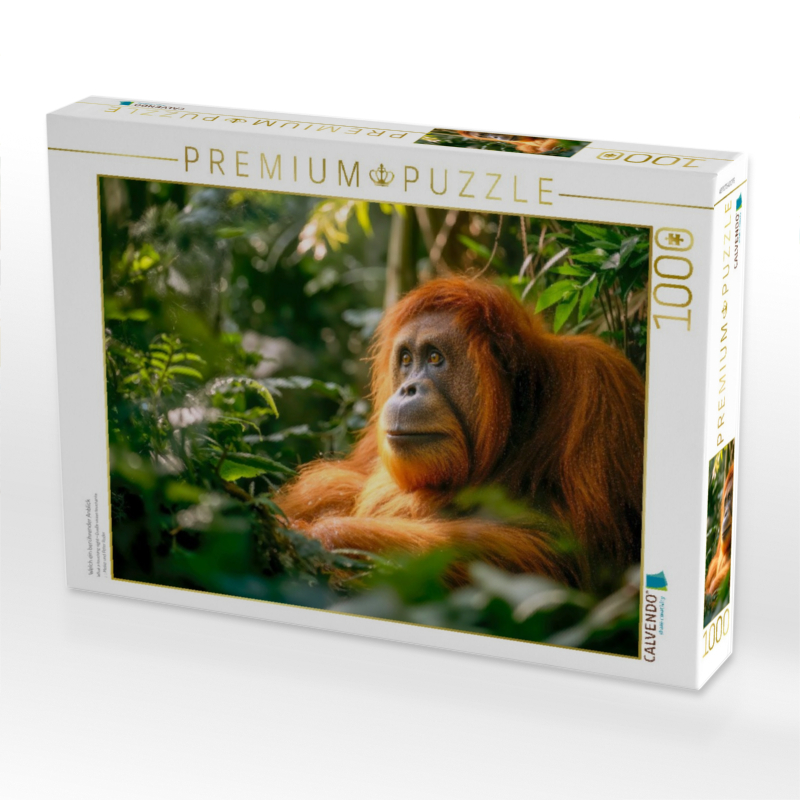 Welch ein berührender Anblick