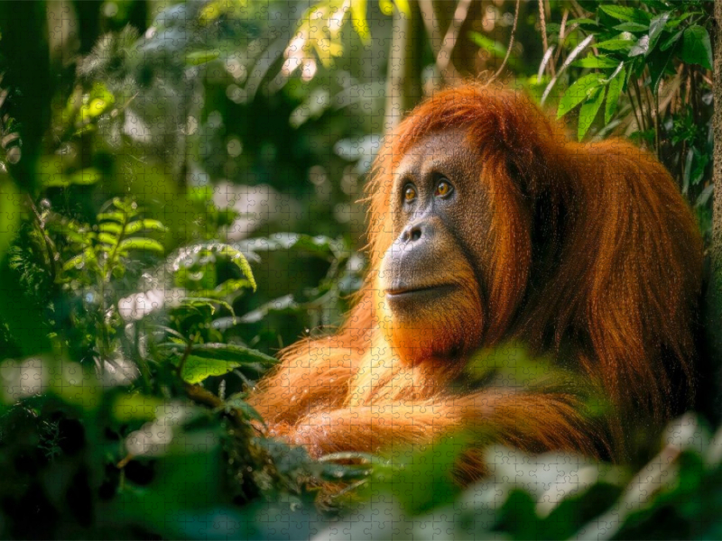 Welch ein berührender Anblick