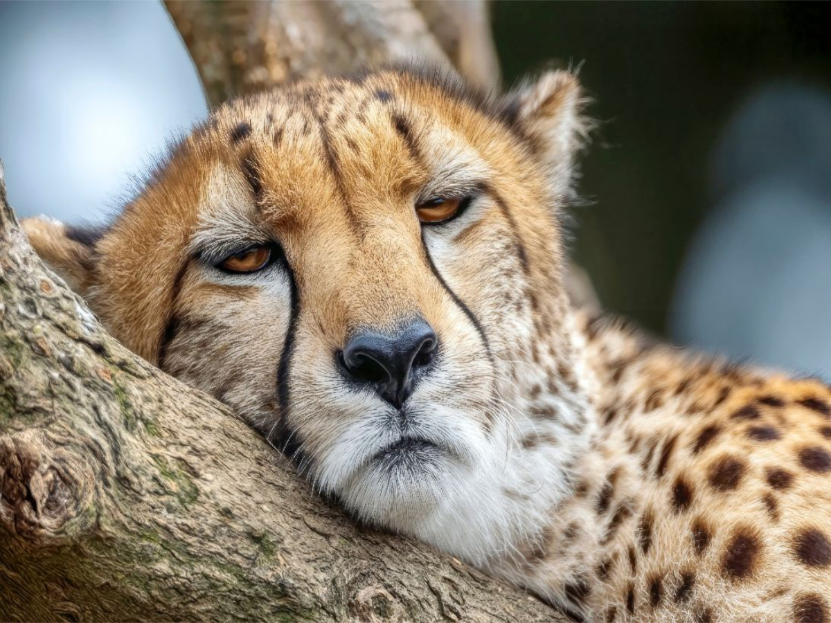 Endlich eine Ruhepause