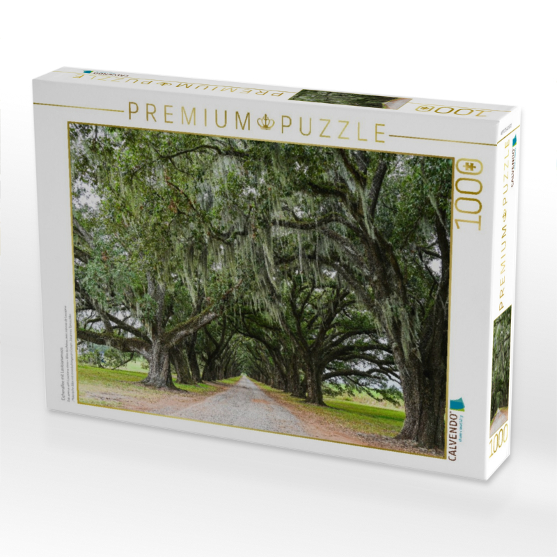 Eichenallee mit Louisianamoos