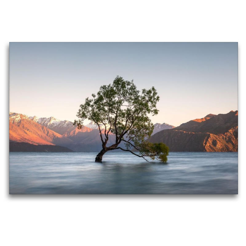 Ein Motiv aus dem Kalender Natürlich Neuseeland