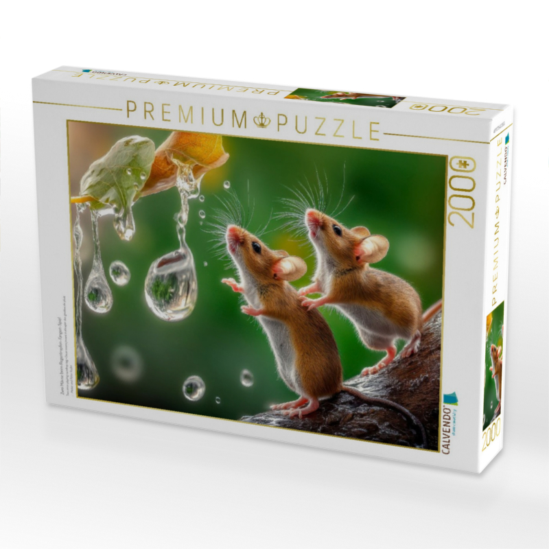 Zwei Mäuse beim Regentropfen-Fangen-Spiel