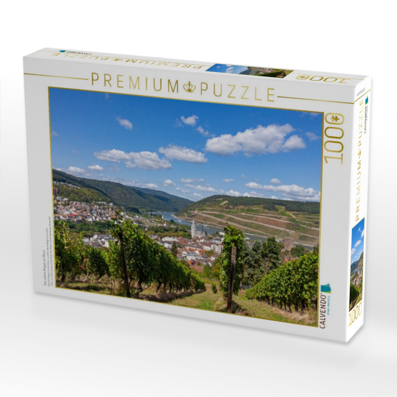 Das schöne Bingen am Rhein