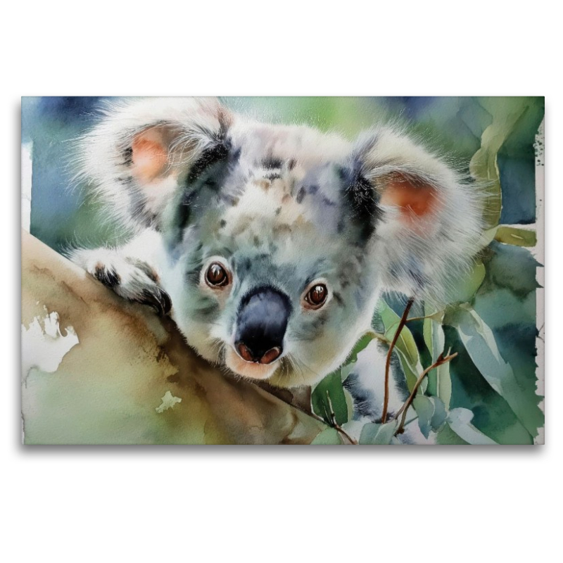 Stolzer Koala