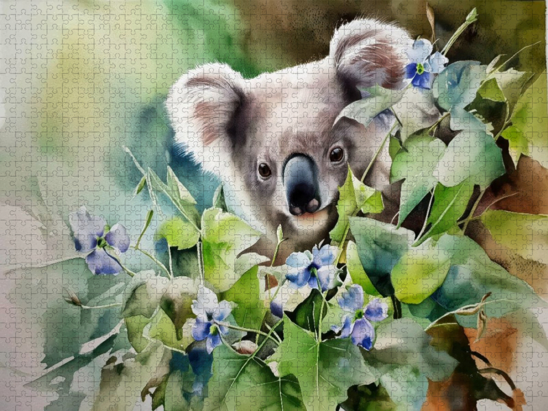 Koala im Frühling