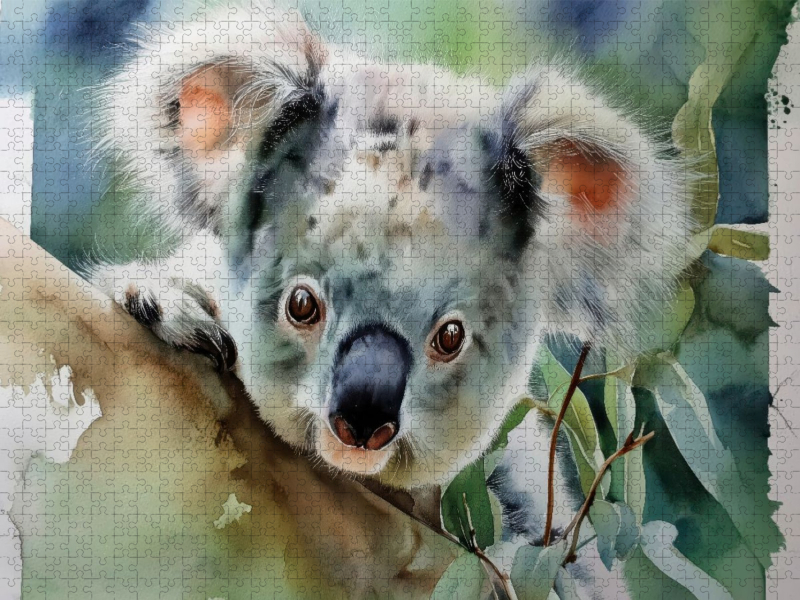 Stolzer Koala