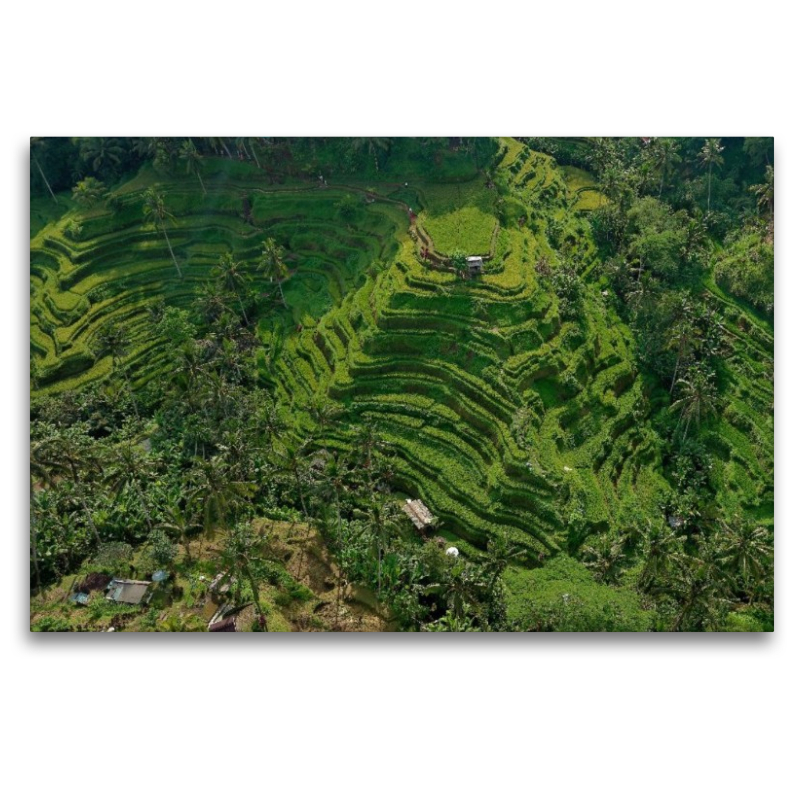 neunziggrad I photoart: indonesien