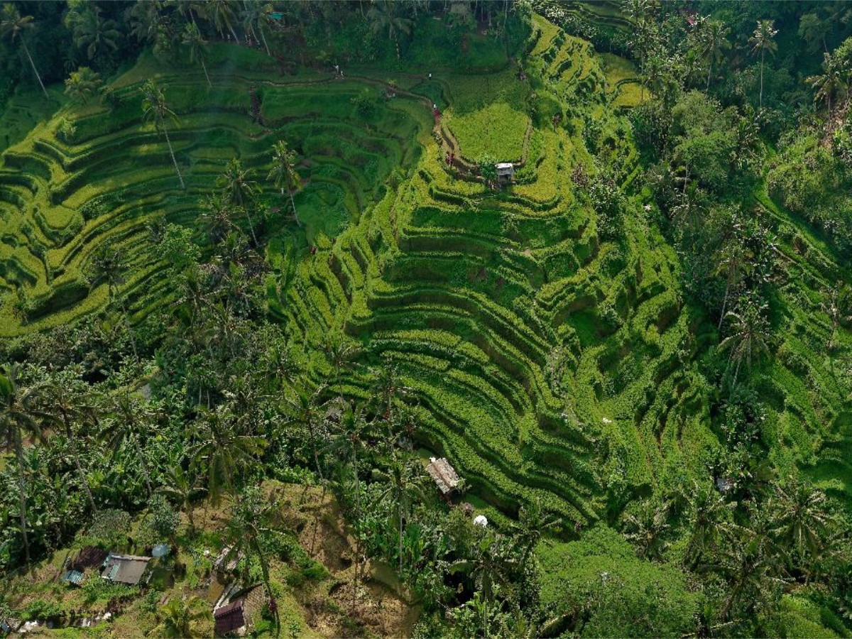 neunziggrad I photoart: indonesien