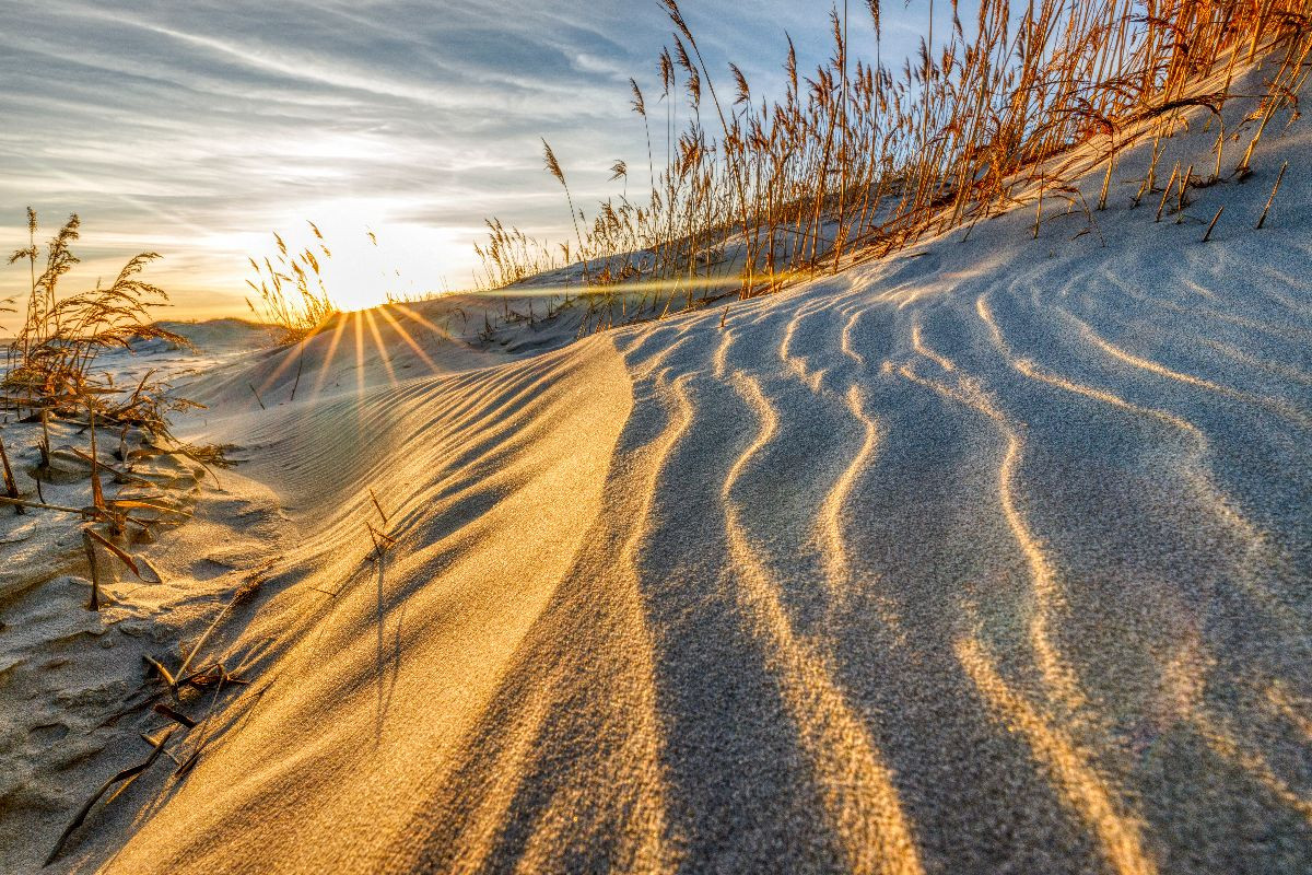 Sandwege im Frühlingswind
