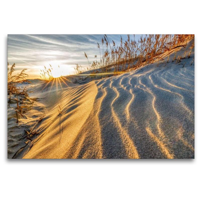 Sandwege im Frühlingswind