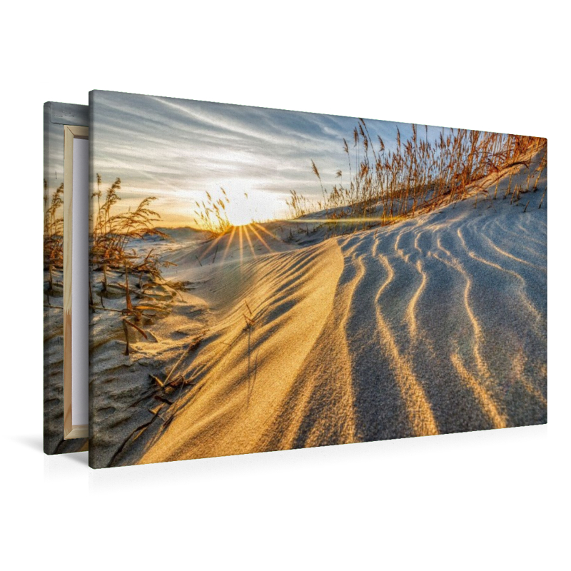 Sandwege im Frühlingswind