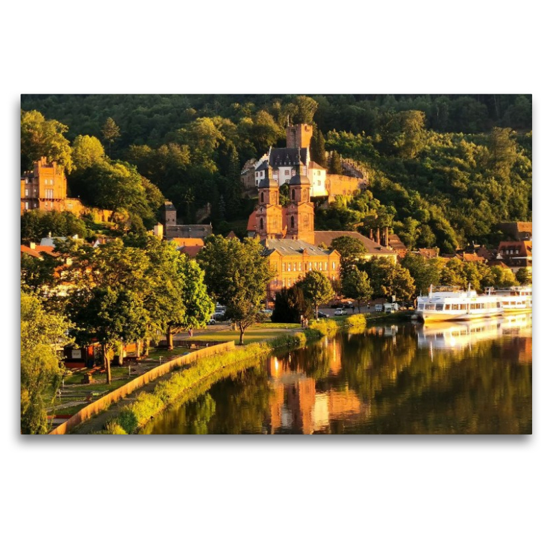 Miltenberg am Main im Schein der sommerlichen Abendsonne