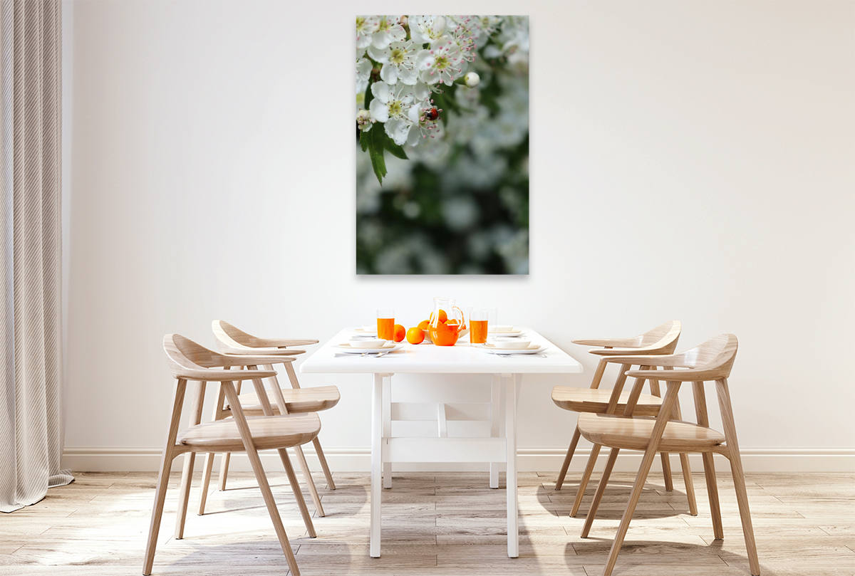 Ein kleiner Marienkäfer als Glücksbringer