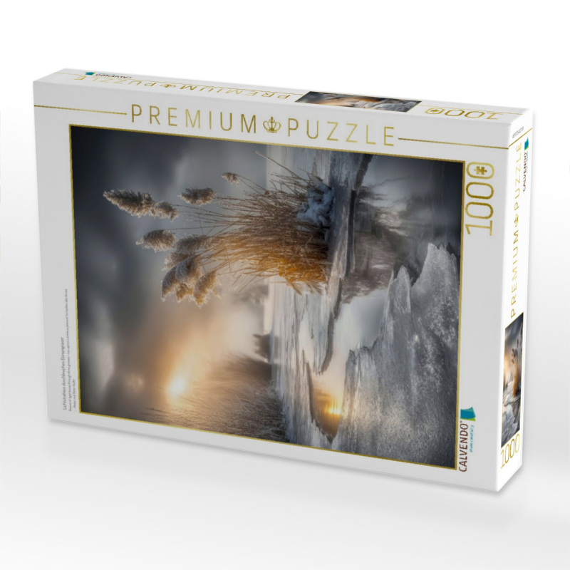 Lichtstrahlen durchbrechen Dünengräser