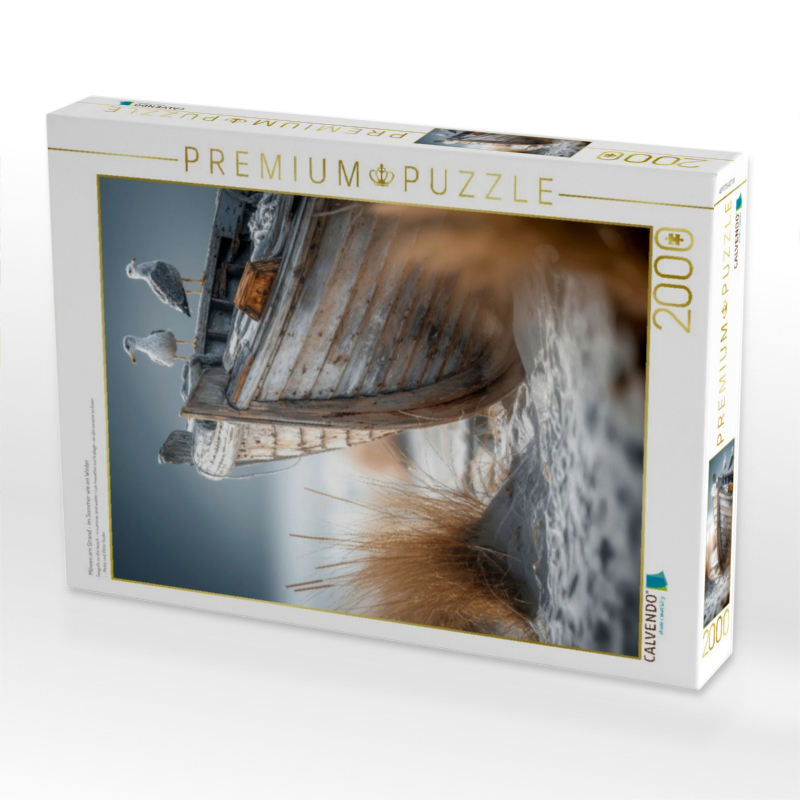 Möwen am Strand - im Sommer wie im Winter