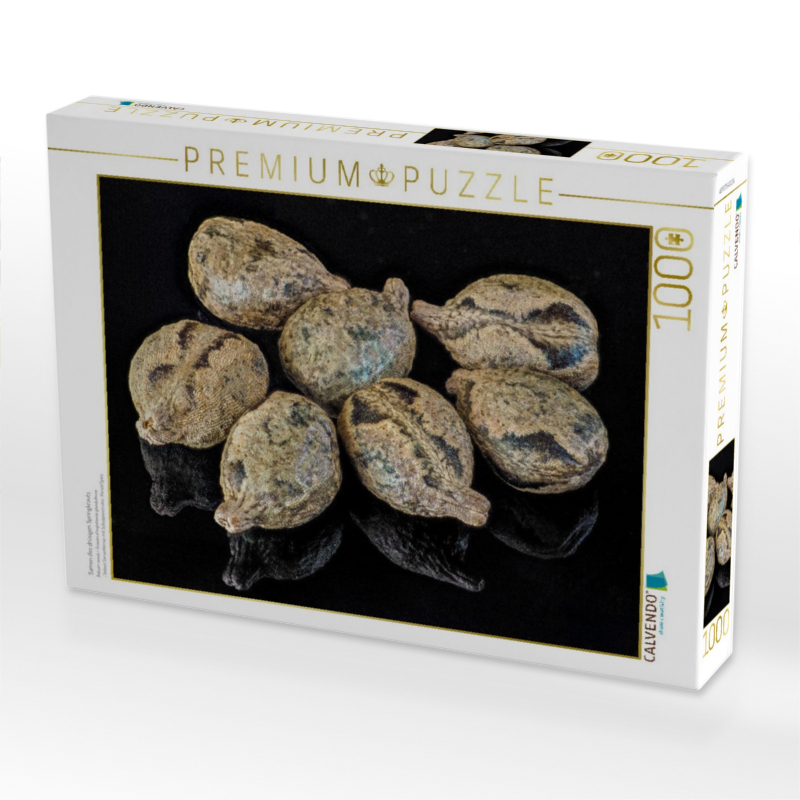 Samen des drüsigen Springkrauts