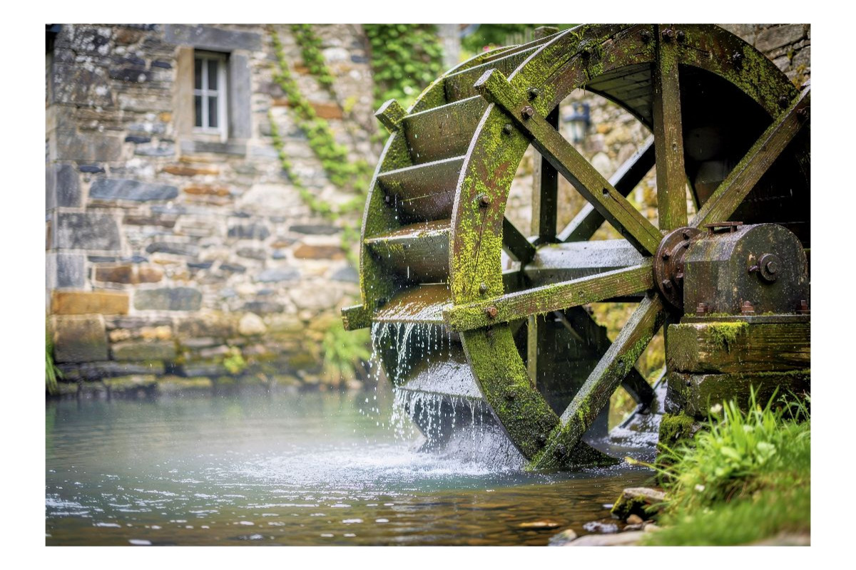 Eintreten, abschalten, staunen.