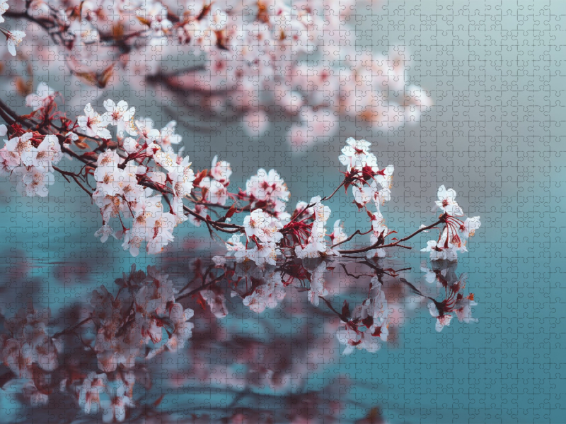 Stille spricht in zarten Blütenlinien