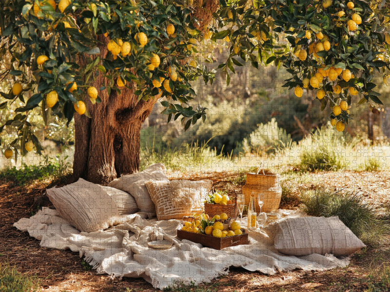 Erntezeit im warmen Licht des Südens