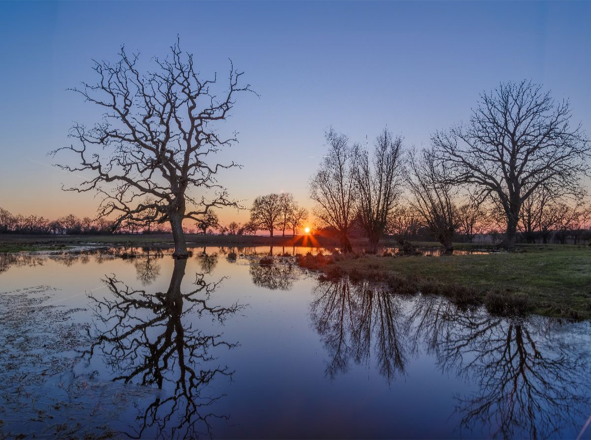 Spiegelglatter Teich bei Sonnenuntergang im März