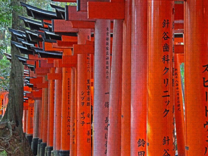 Torii-Tunnel des Fushimi Inari Schreins