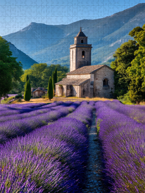 Lavendel mit Blick auf den Kirchturm