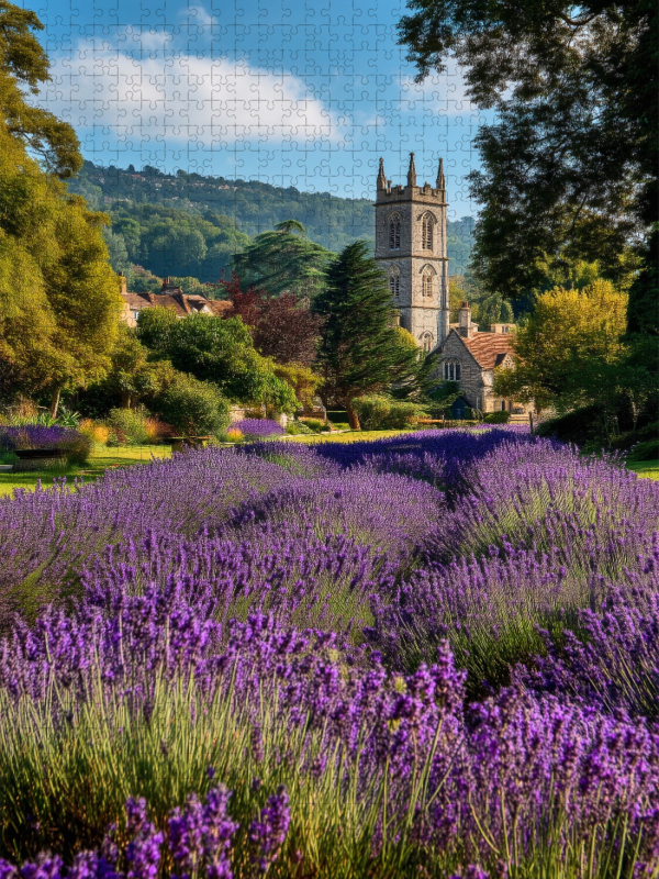 Ein Motiv aus dem Kalender Der Sommer blüht violett