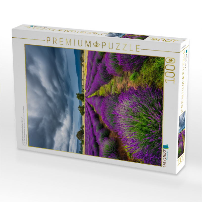 Lavendelfelder unter dramatischem Himmel