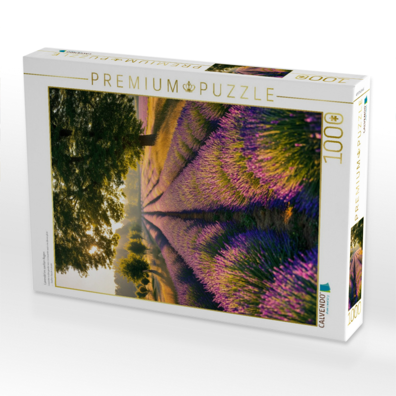 Lavendel im sanften Regen