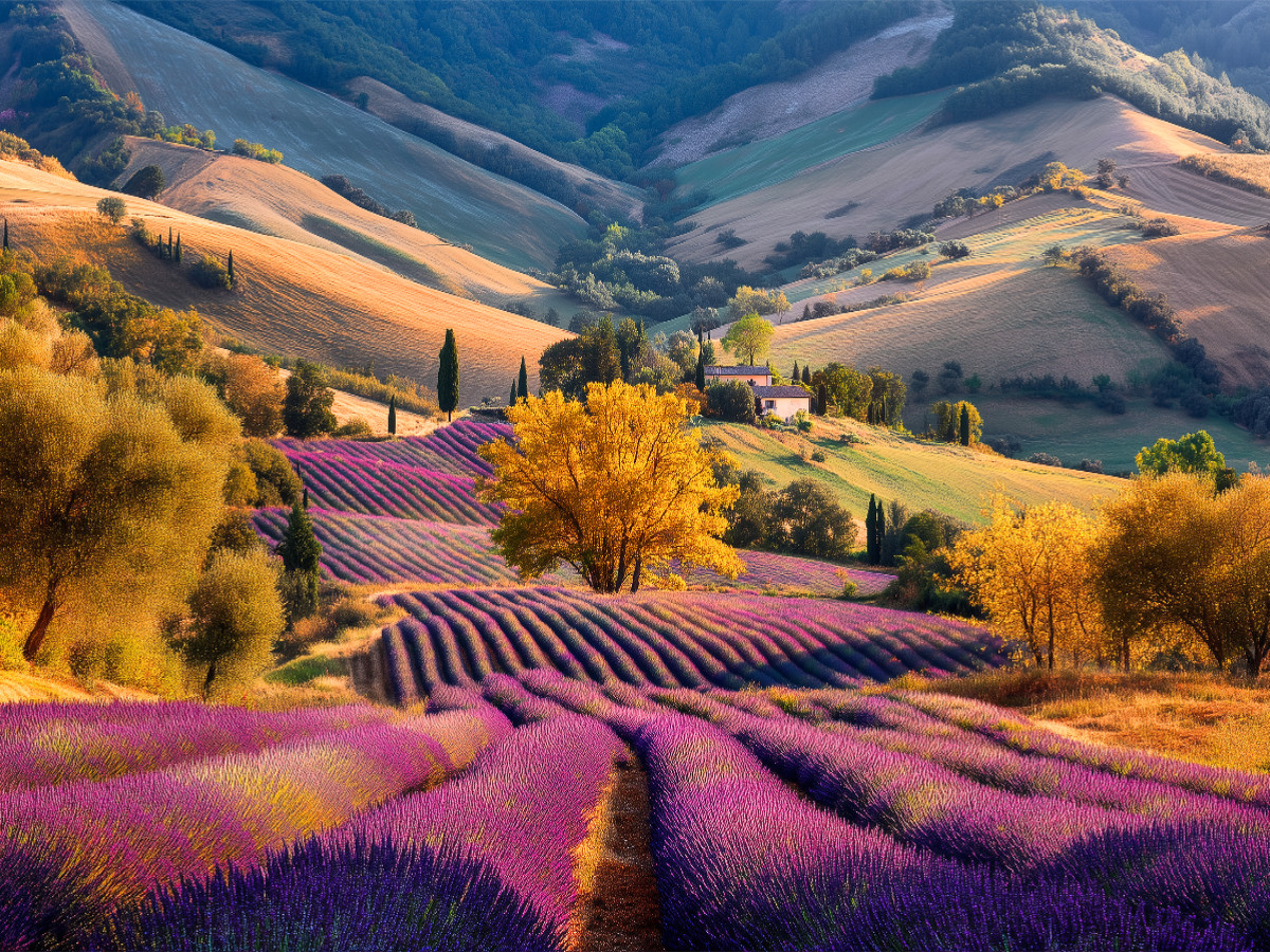 Wenn der Herbst zur Ruhe kommt